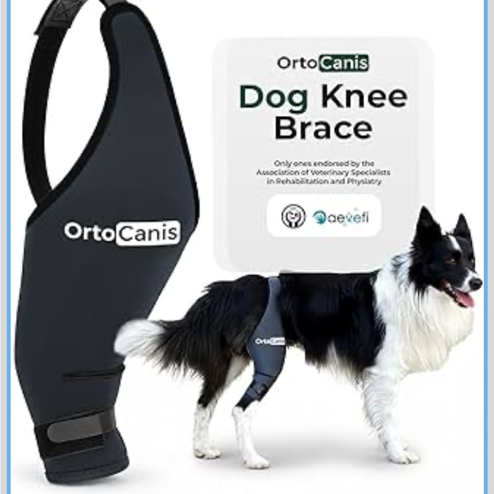 Ortocanis Dog Knee Brace For Hind Leg Support
- Flexible Neoprene Knee Brace
